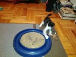 Harlem when he came to live here 3 weeks ago